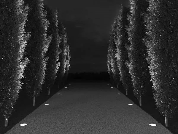 Produs Simes — 1