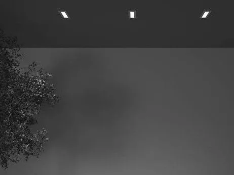 Produs Simes — 4